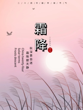 唯美中国传统节气霜降红包配图海报