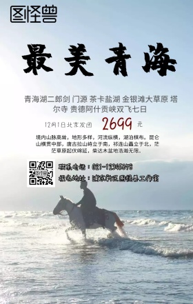 西北青海手机旅游海报
