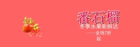 冬季特惠淘宝电商水果石榴banner