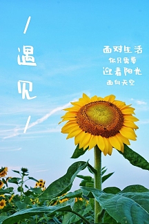 古风艺术字印章工作证企业商用微信封面艺术字早安阳光粉色创意手机海