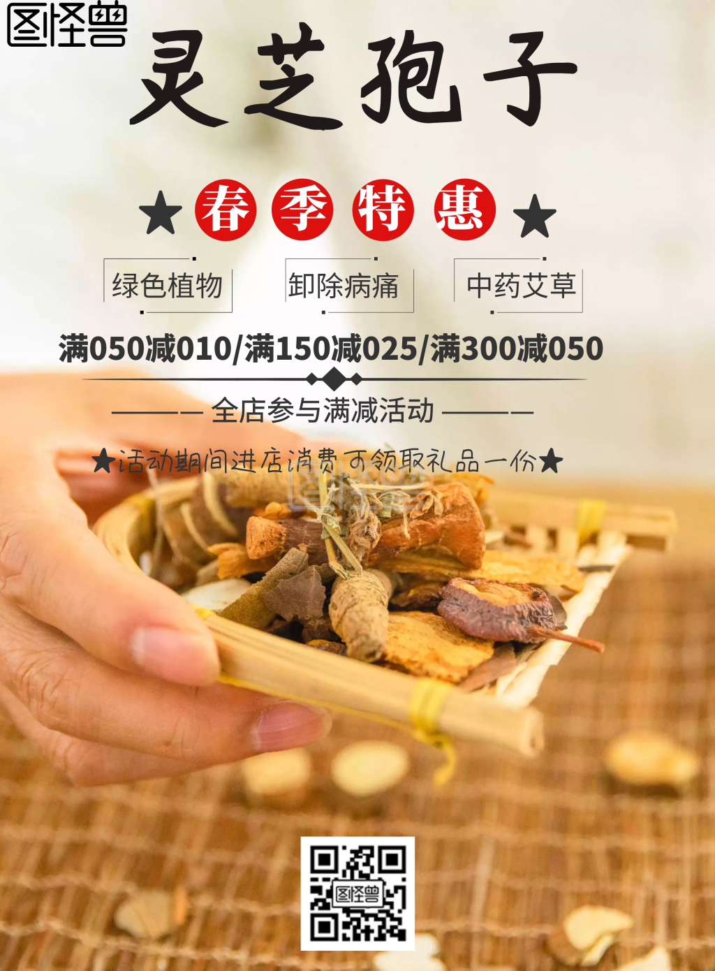 中国风灵芝孢子促销海报