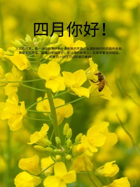 四月海报