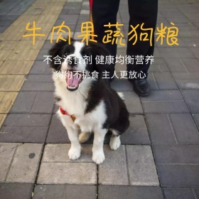 果蔬狗粮 主图 狗粮 