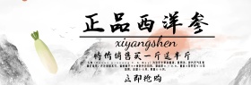 正品西洋参简约中国风banner