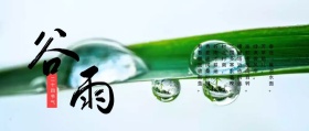 谷雨二十四节气简约清新公众号封面