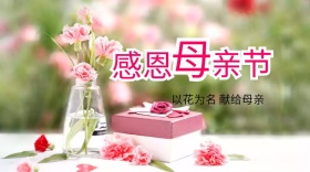 感恩母亲以花为名公众号封面