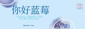 蓝色小清新蓝莓水果美食电商banner淘宝海报