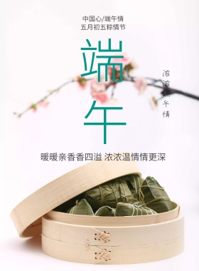 小清新端午节粽子促销海报