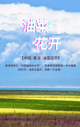 黄色简约清新油菜花季旅游手机海报