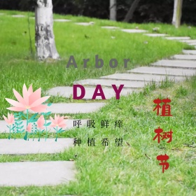 植树节简洁卡通创意方形配图