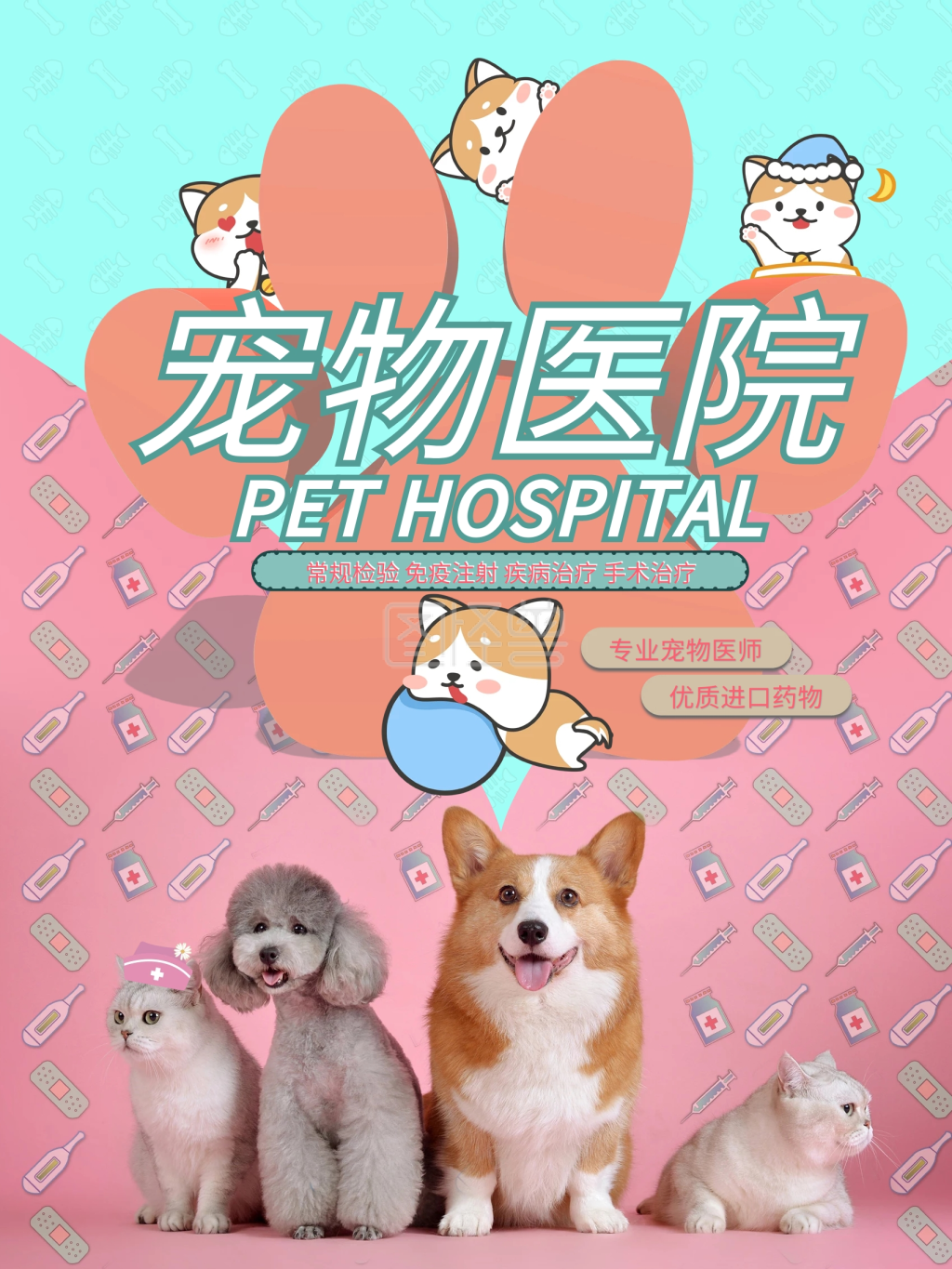 宠物医院促销海报展板60x80cm
