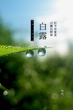 手绘简约白露节气公众号配图模板