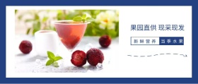 新鲜营养 当季水果 果园直供 现采现发 简约清新水果促销公众号封面