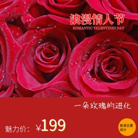 情人节主图红色玫瑰香水