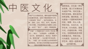 中医文化小报手抄报