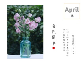 自然简单绿叶盆栽简约白色横版配图