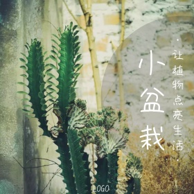 小盆栽绿色可爱创意简约淘宝主图