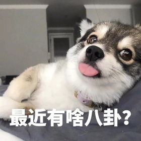 最近有啥八卦表情包