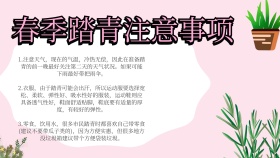 手抄报简单模板