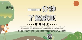 威亚图威压简约宣传印刷横版海报