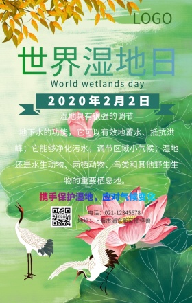 世界湿地日保护环境宣传手机海报