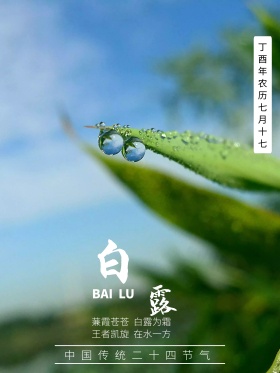 中国传统二十四节气白露海报白露小素材