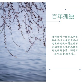 夏季文艺小清新公众号配图