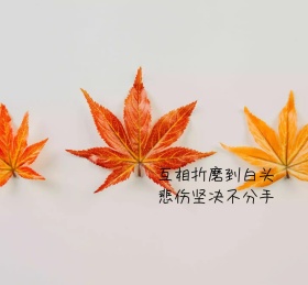 伤感原宿风朋友圈封面图