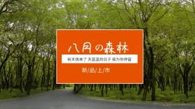 八月森林红包公众号封面
