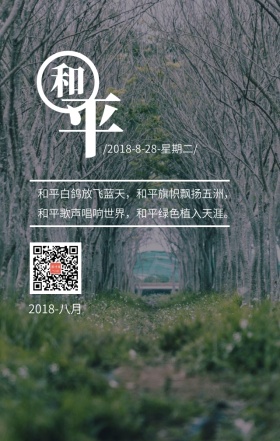 和平铭记历史文艺简约日签