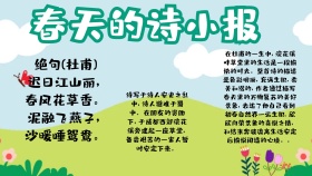 2019春天的诗小报绿色文学手抄报