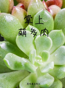 粉色可爱多肉种植技能培训KINDLE封面