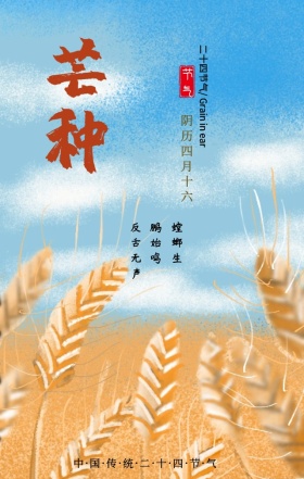 简约插画二十四节气芒种创意手机海报