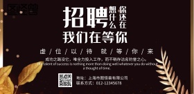 招聘大会蓝黑色系 