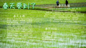 简约绿色关于春的手抄报