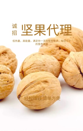 坚果代理美味零食招商清新手机海报