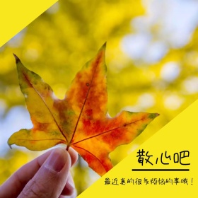 散心吧风景黄色文艺公众号正方形配图