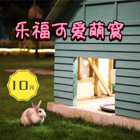 电商淘宝天猫蓝色绿色圆点手绘风格可爱主图直通车模板萌宠猫窝
