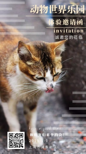 邀请函萌宠动物乐园体验可爱老鹰