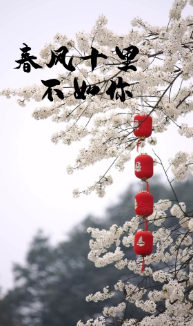 三生三世十里桃花