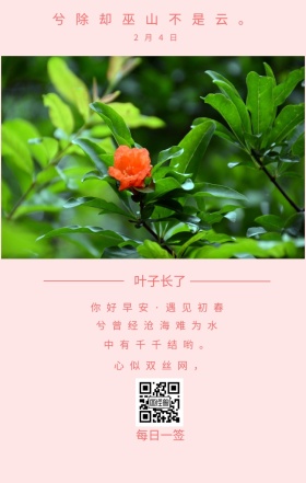 简约清新立春节日日签
