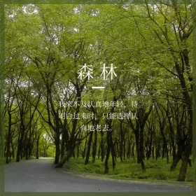 文艺时尚森林简约圆圈文字公众号配图