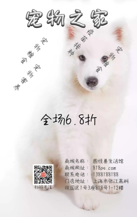 宠物之家狗狗猫咪灰色促销海报