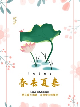 春去夏来瓶中荷叶海报