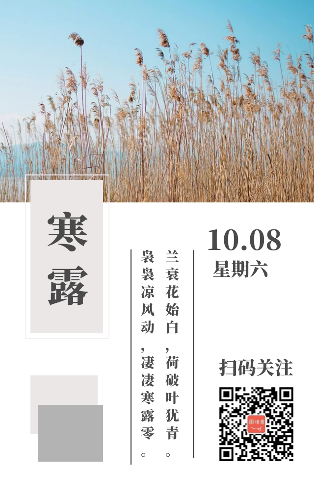 芦苇