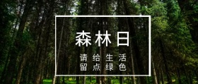 森林日 3.21 请给生活 留点绿色 世界森林日简约公众号封面