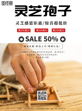 中国风灵芝孢子促销海报