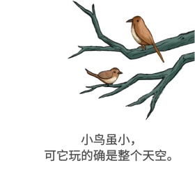 小鸟