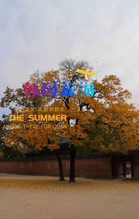 世界旅游日国庆出游韩国首尔手机海报模板