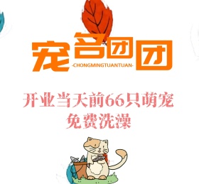 萌宠宠物可爱动物朋友圈封面